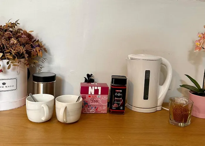 Spacious In Homestay Dublin