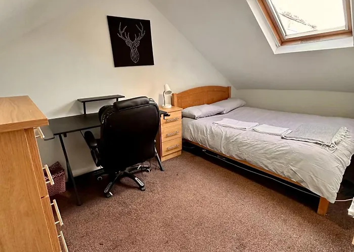 Проживание в семье Spacious In