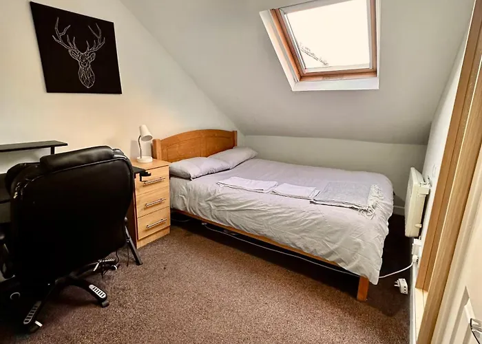 Проживание в семье Spacious In *